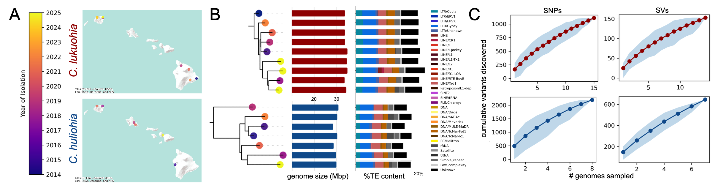 Preliminary ROD genome results